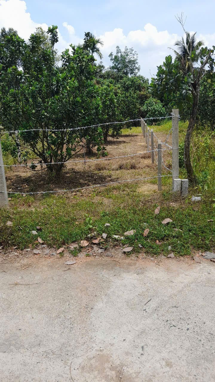 ĐẤT ĐẸP - GIÁ TỐT - Bán GẤP Lô Đất Tiềm Năng Tại xã Mỹ Đức, tỉnh Lâm Đồng - Ảnh 3