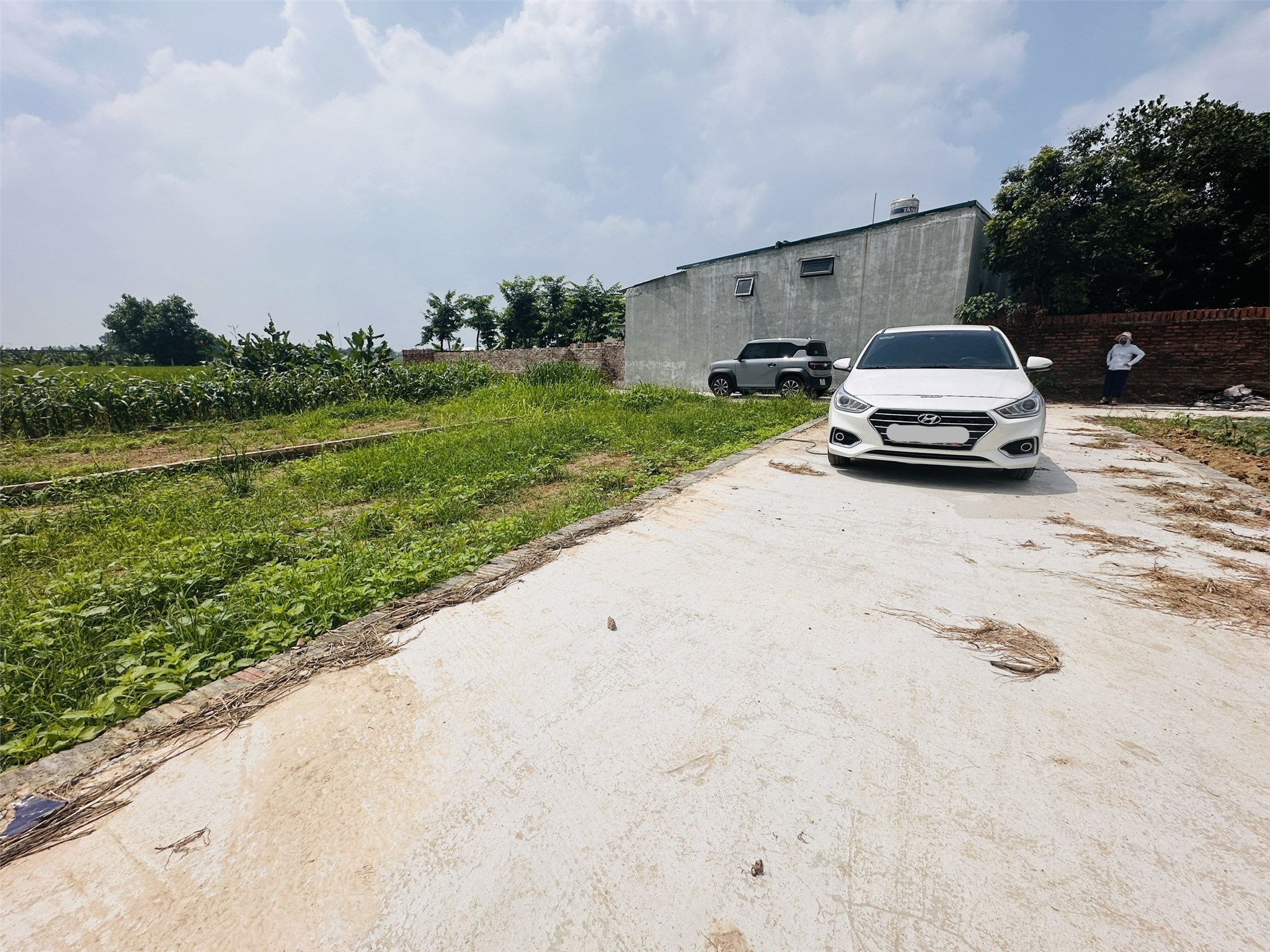 CƠ HỘI ĐẦU TƯ SIÊU HOT – LÔ GÓC 96M² TẠI TÂN LƯƠNG-NỘI BÀI MỚI là lựa chọn hoàn hảo dành cho bạn! - Ảnh 1