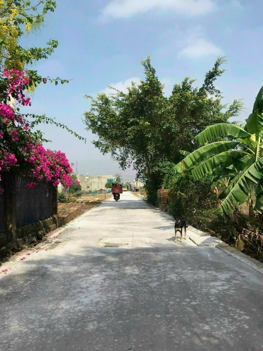 CHÍNH CHỦ CẦN BÁN ĐẤT khu Thanh Vân Long, xã Phú Đông, Nhơn Trạch, Đồng Nai - Ảnh chính