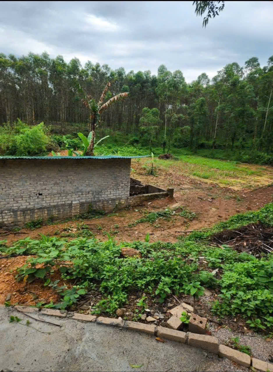 CHÍNH CHỦ CẦN BÁN 3,5HA ĐẤT TRANG TRẠI TẠI HỮU LŨNG – LẠNG SƠN - Ảnh 2