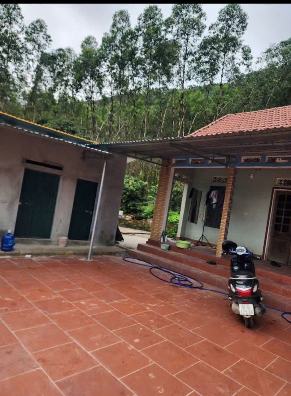 CHÍNH CHỦ CẦN BÁN 3,5HA ĐẤT TRANG TRẠI TẠI HỮU LŨNG – LẠNG SƠN - Ảnh chính