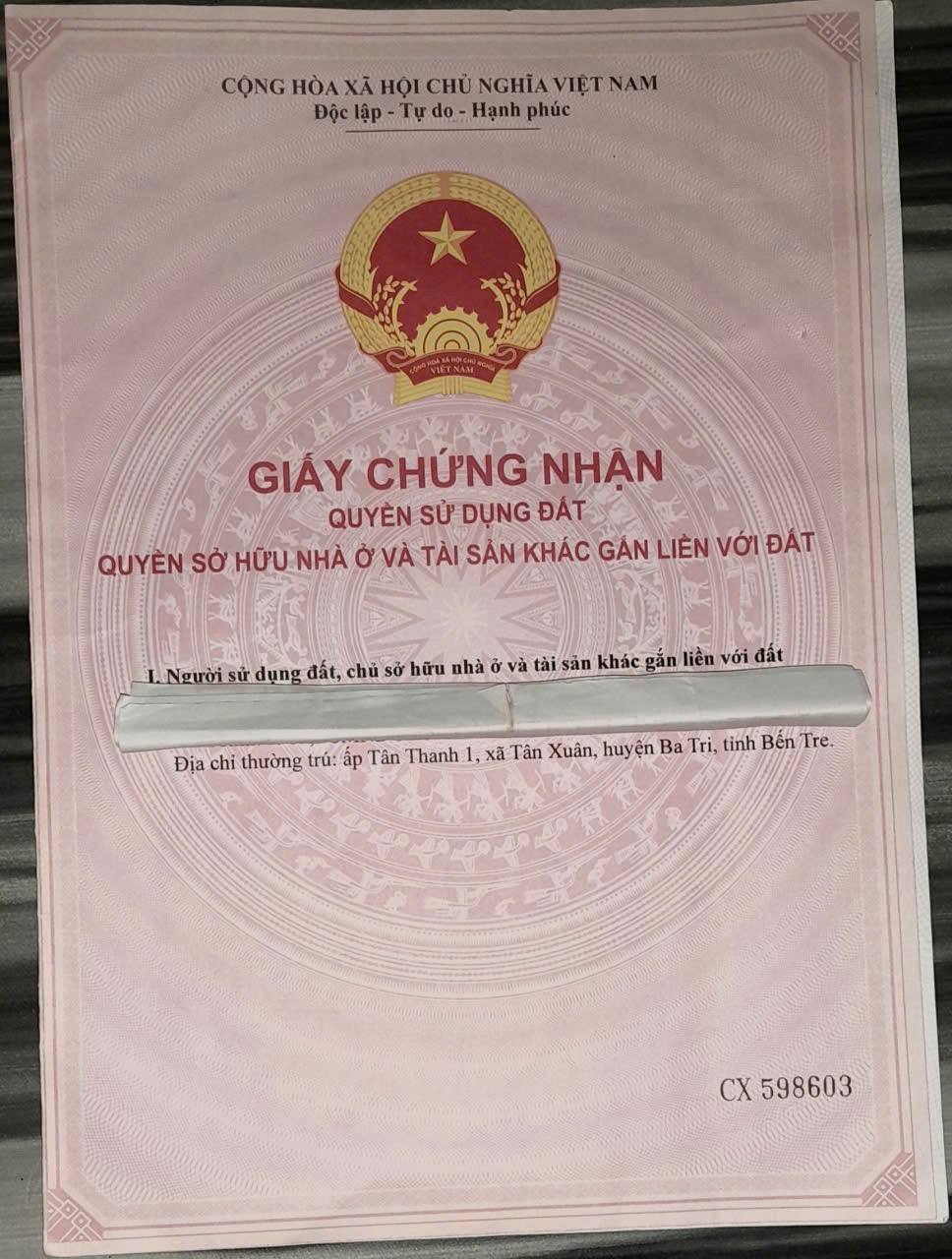 CHÍNH CHỦ Cần Tiền Bán Gấp thửa ruộng theo sổ Tại Tân Xuân, Ba Tri, Bến Tre  (cũ) - Ảnh chính