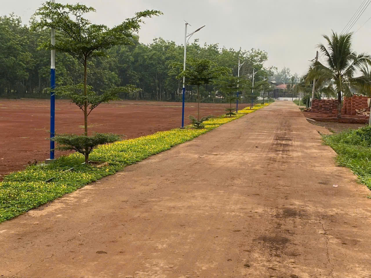 BÁN ĐẤT TẠI  LONG HÀ, PHÚ RIỀNG, BÌNH PHƯỚC - Ảnh chính