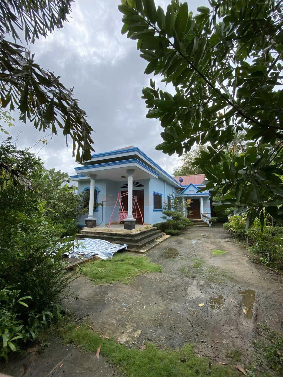 Chính Chủ Cần Bán Đất Tặng Nhà 1222m2 Tại Thị Trấn Giồng Trôm - H. Giồng Trôm - Bến Tre. - Ảnh chính