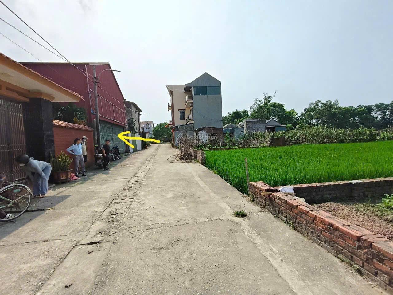 Chủ cần tiền bán gấp, đất Thư Lâm 180,5m2, mt9.5m, 10 tỷ, TL, (Đông Anh). Ô tô tránh. - Ảnh 3