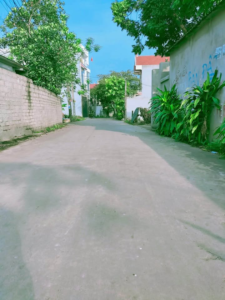 Bán Gấp lô đất 173m2 (Mt10,5m ) full thổ cư Thuộc  Tân Dĩnh - Tân Văn – Bắc Ninh. - Ảnh 2