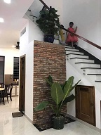 CHÍNH CHỦ CHO THUÊ NHÀ NGUYÊN CĂN – ĐƯỜNG BỜ XE LAM, XÃ TÂN KIÊN, HUYỆN BÌNH CHÁNH - Ảnh 2