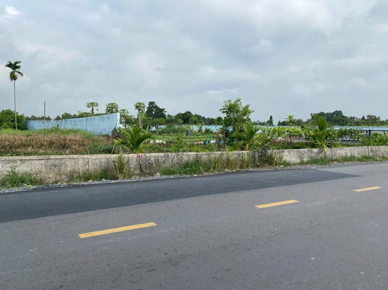 BÁN ĐẤT MẶT TIỀN VÕ VĂN BÍCH – DT 2.934M² – THỔ CƯ 2.217M² – GIÁ CHỈ 25 TỶ - Ảnh 2