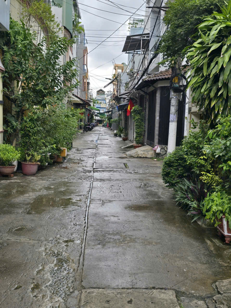 Gấp Bán nhà Lê Thúc Hoạch Tân Phú gần chợ Tân Hương hẻm 6m 48m2 ,3 tầng nhỉnh 5 ty - Ảnh chính