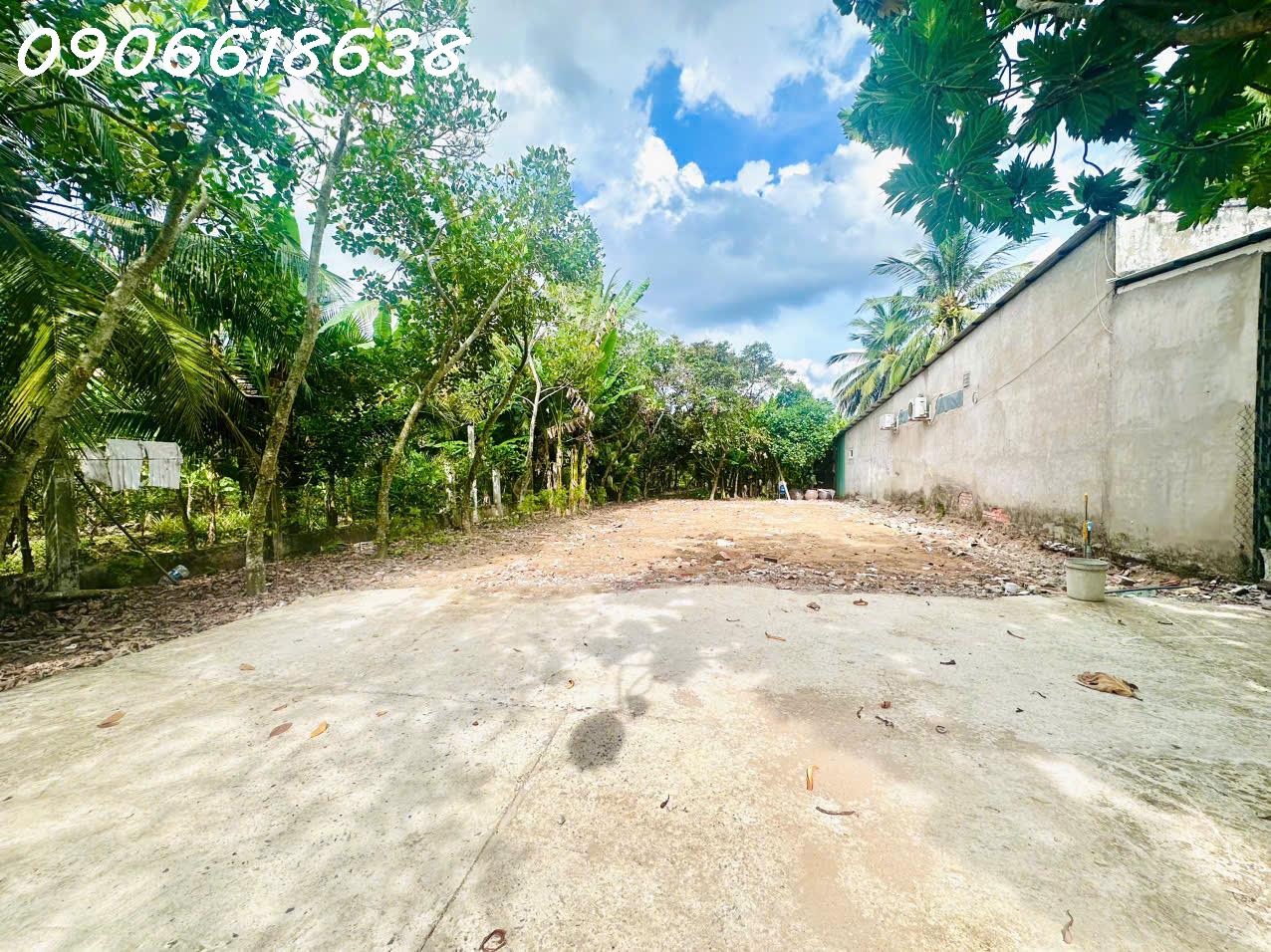 Bán đất CLN 3834m2 ở Ấp Miễu Hội, Xã Thạnh Phú, Châu Thành, Tiền Giang, 5,9 tỷ - Ảnh 2