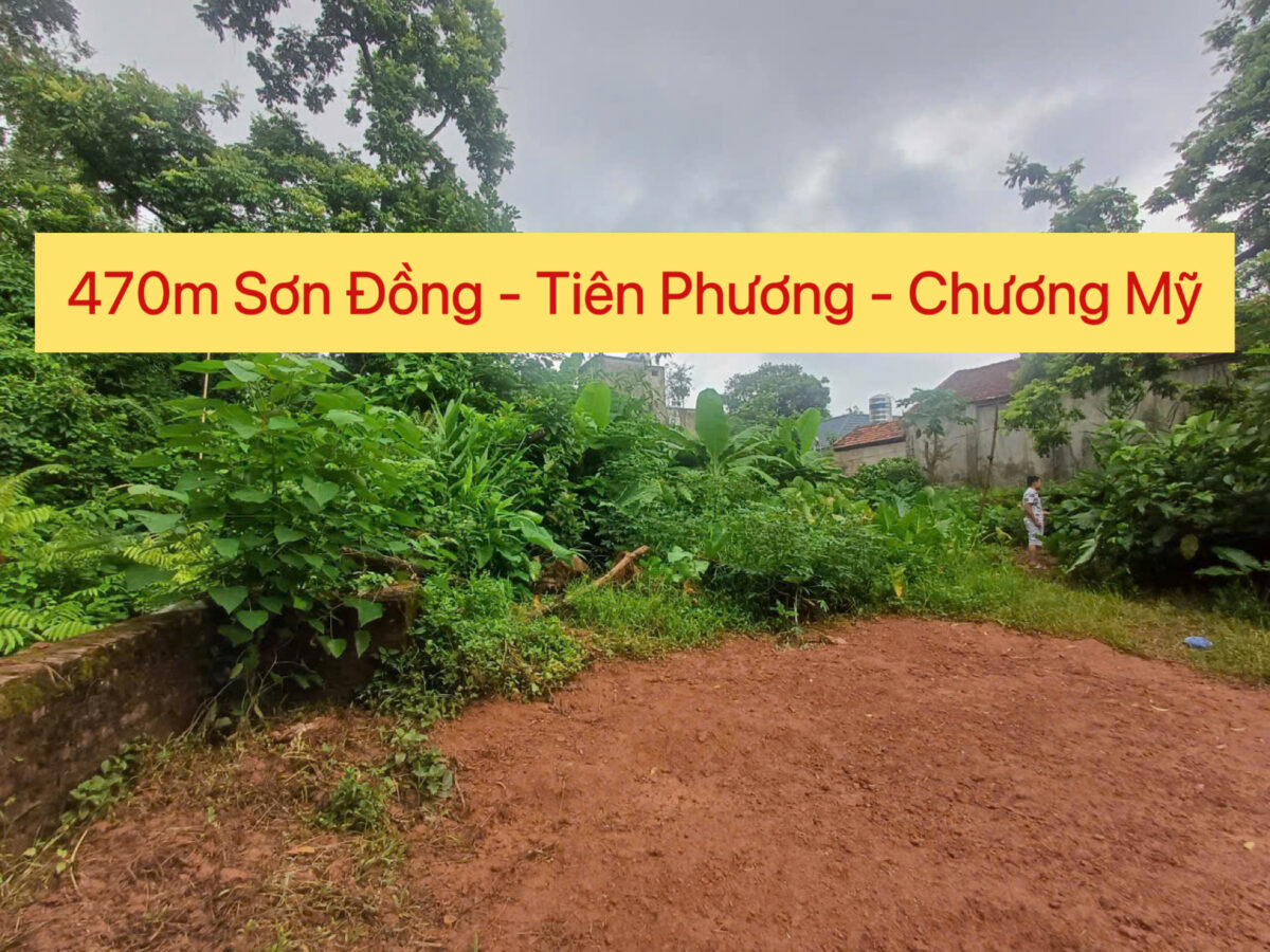 CHÍNH CHỦ CẦN BÁN LÔ ĐẤT 470 TẠI TIÊN PHƯƠNG-CHƯƠNG MỸ-HÀ NỘI - Ảnh chính