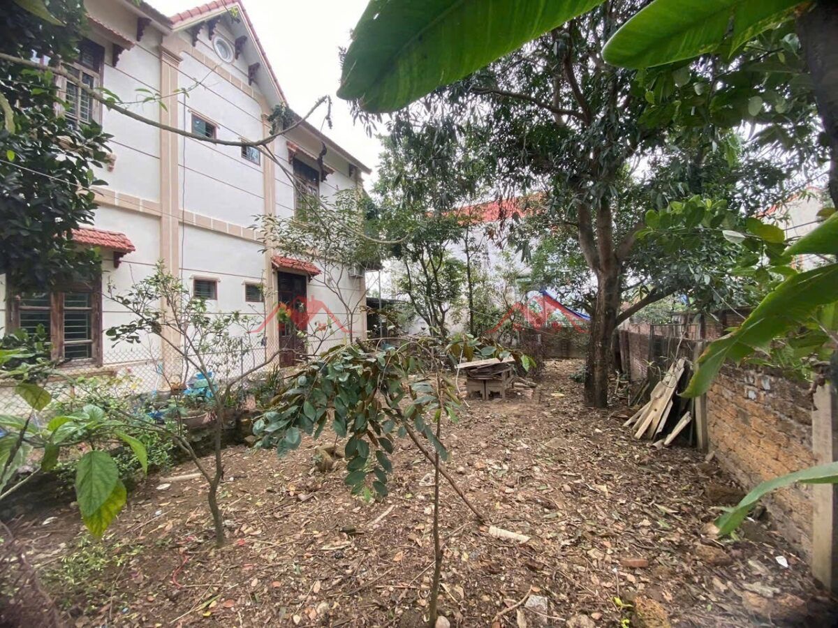 CHÍNH CHỦ CẦN BÁN LÔ CĂN NHÀ 528,8M TẠI HỮU VĂN-CHƯƠNG MỸ-HÀ NỘI - Ảnh 2