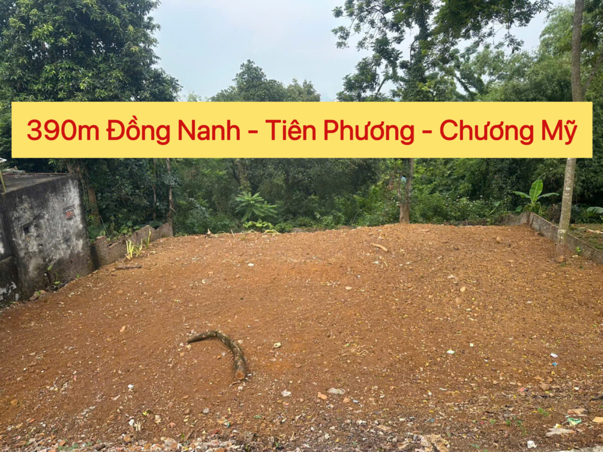 CHÍNH CHỦ CẦN BÁN LÔ ĐẤT 390M  ĐẤT NGHỈ DƯỠNG TẠI TIÊN PHƯƠNG-CHƯƠNG MỸ-HÀ NỘI - Ảnh chính