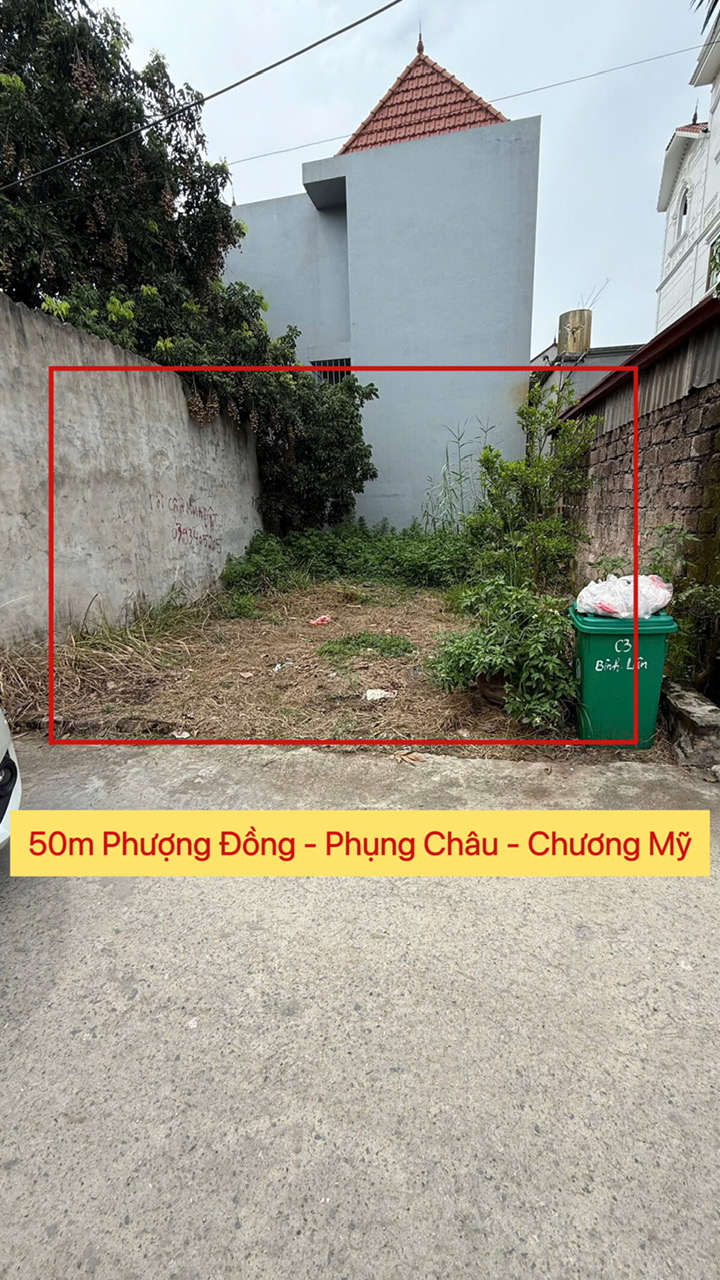 CHÍNH CHỦ CẦN BÁN LÔ ĐẤT 50M TẠI PHỤNG CHÂU-CHƯƠNG MỸ-HÀ NỘI - Ảnh chính