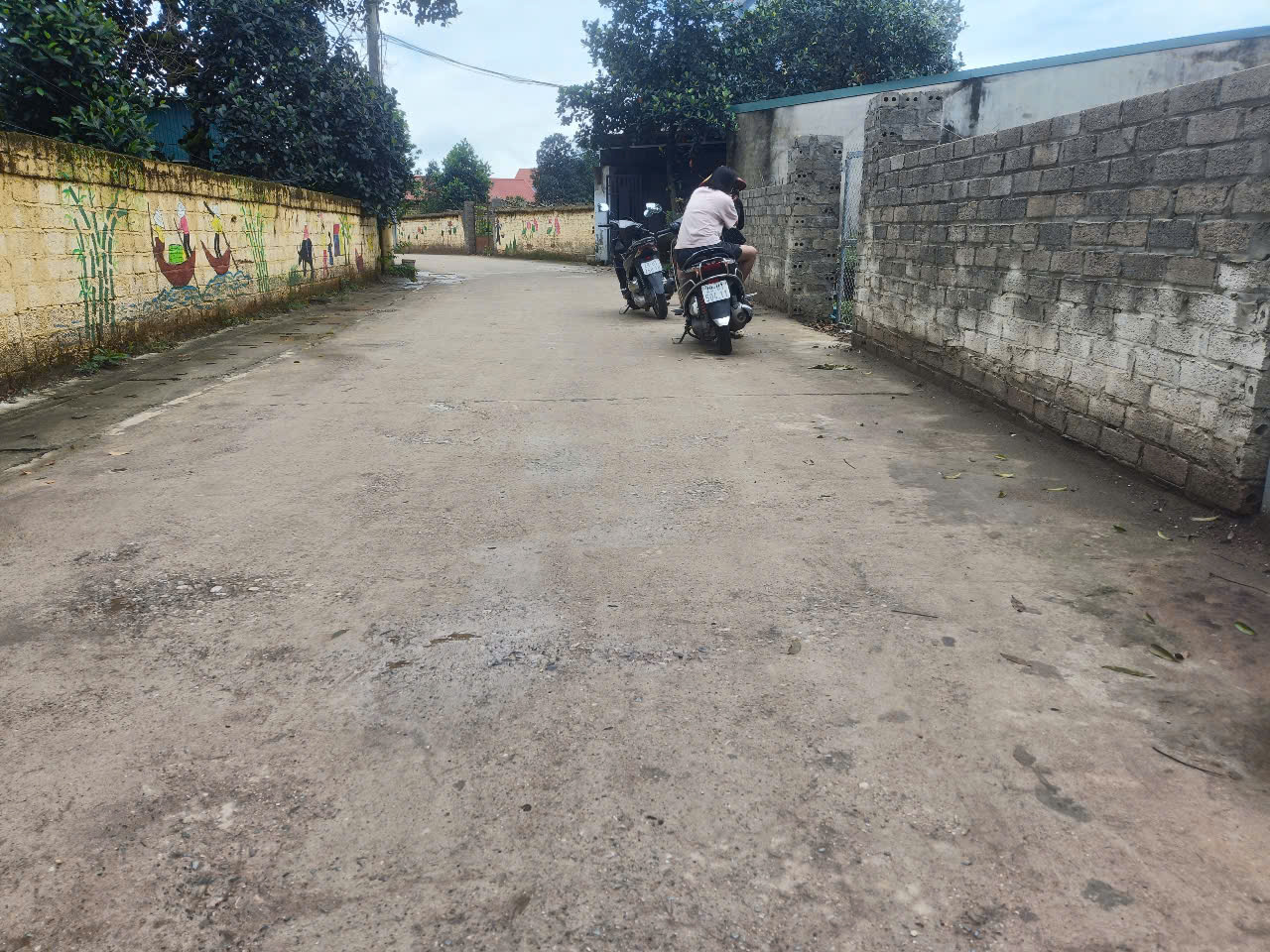ĐẤT ĐẸP 228M2, FULL THỔ CƯ, TRỤC CHÍNH - Ảnh 3