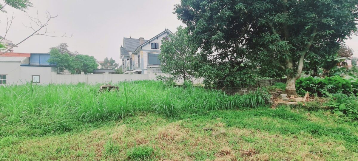 CHÍNH CHỦ CẦN BÁN LÔ ĐẤT 864M TẠI NAM PHƯƠNG TIẾN-CHƯƠNG MỸ-HÀ NỘI - Ảnh 2