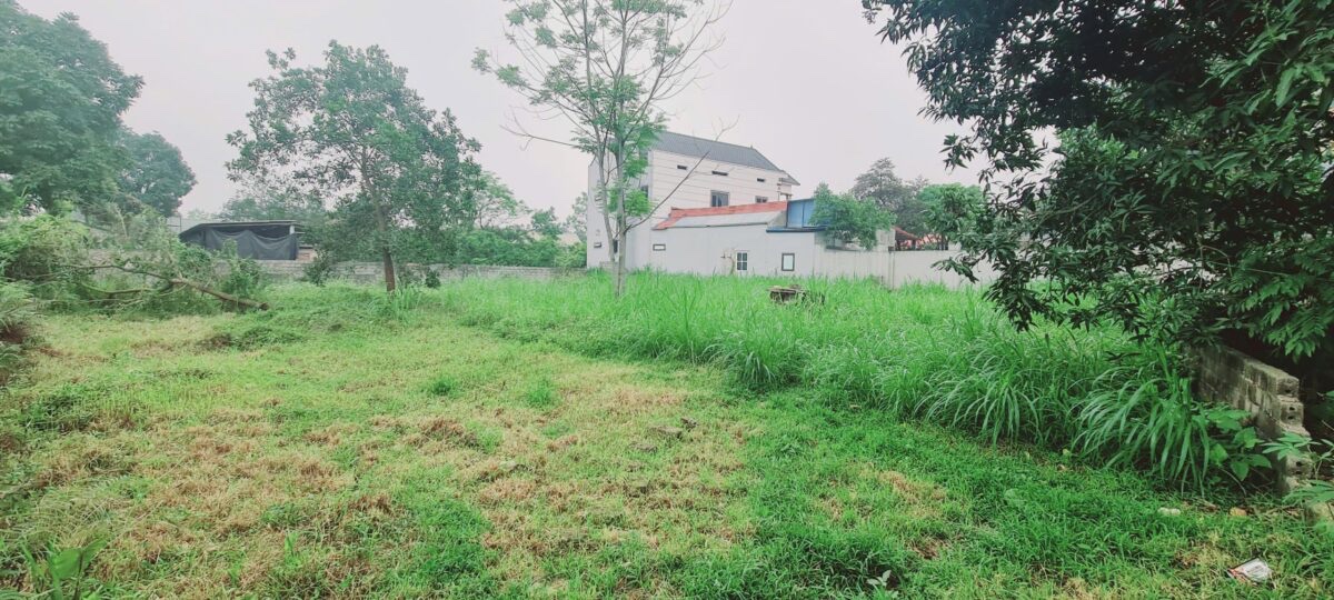 CHÍNH CHỦ CẦN BÁN LÔ ĐẤT 864M TẠI NAM PHƯƠNG TIẾN-CHƯƠNG MỸ-HÀ NỘI - Ảnh 1