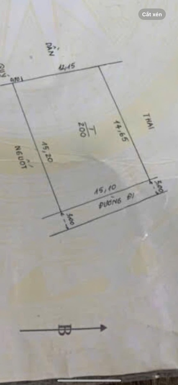 CHÍNH CHỦ CẦN BÁN LÔ ĐẤT 200M TẠI TRUNG HÒA-CHƯƠNG MỸ-HÀ NỘI - Ảnh 3