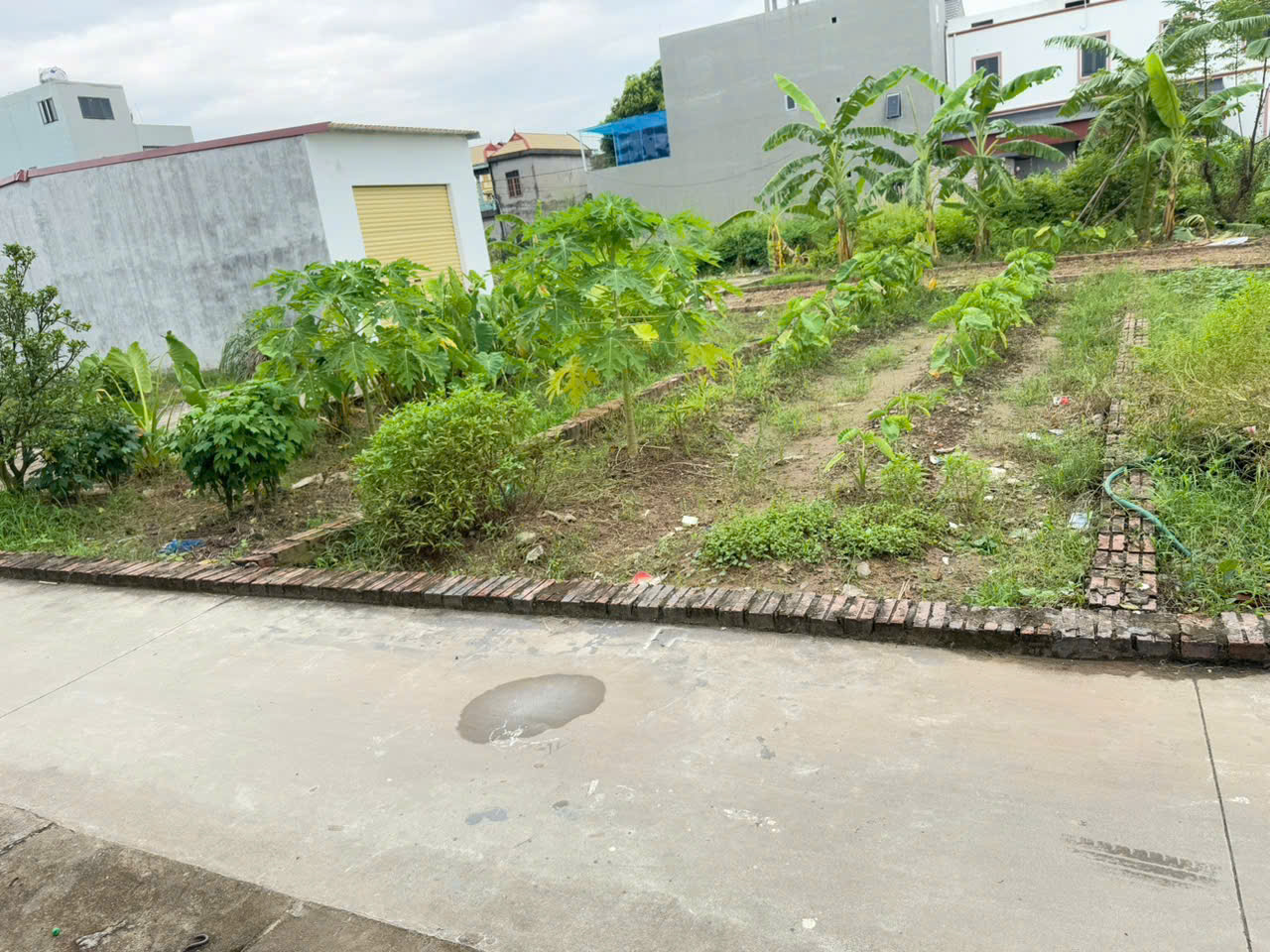 Chính chủ cần tiền gửi bán mảnh đất tại tổ 9 Quang Minh, Mê Linh. Tiện ích ngập tràn - Ảnh 1