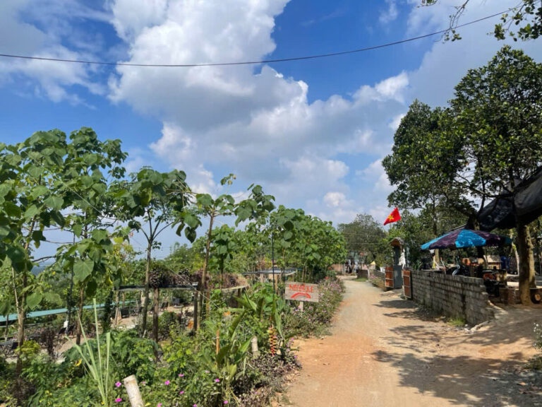 CHÍNH CHỦ CẦN BÁN LÔ ĐẤT 400M NGHỈ DƯỠNG TẠI TIÊN PHƯƠNG-CHƯƠNG MỸ-HÀ NỘI - Ảnh 1