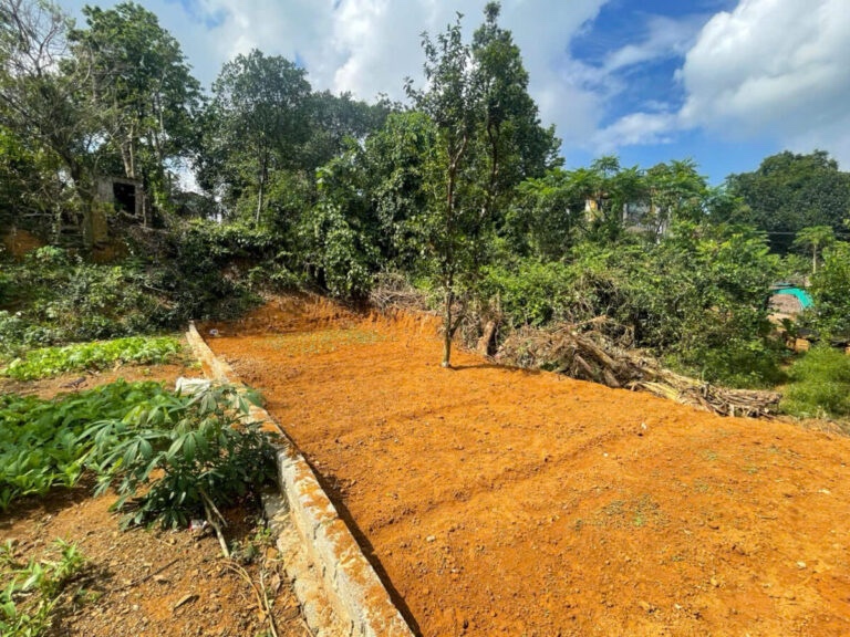 CHÍNH CHỦ CẦN BÁN LÔ ĐẤT 400M NGHỈ DƯỠNG TẠI TIÊN PHƯƠNG-CHƯƠNG MỸ-HÀ NỘI - Ảnh chính