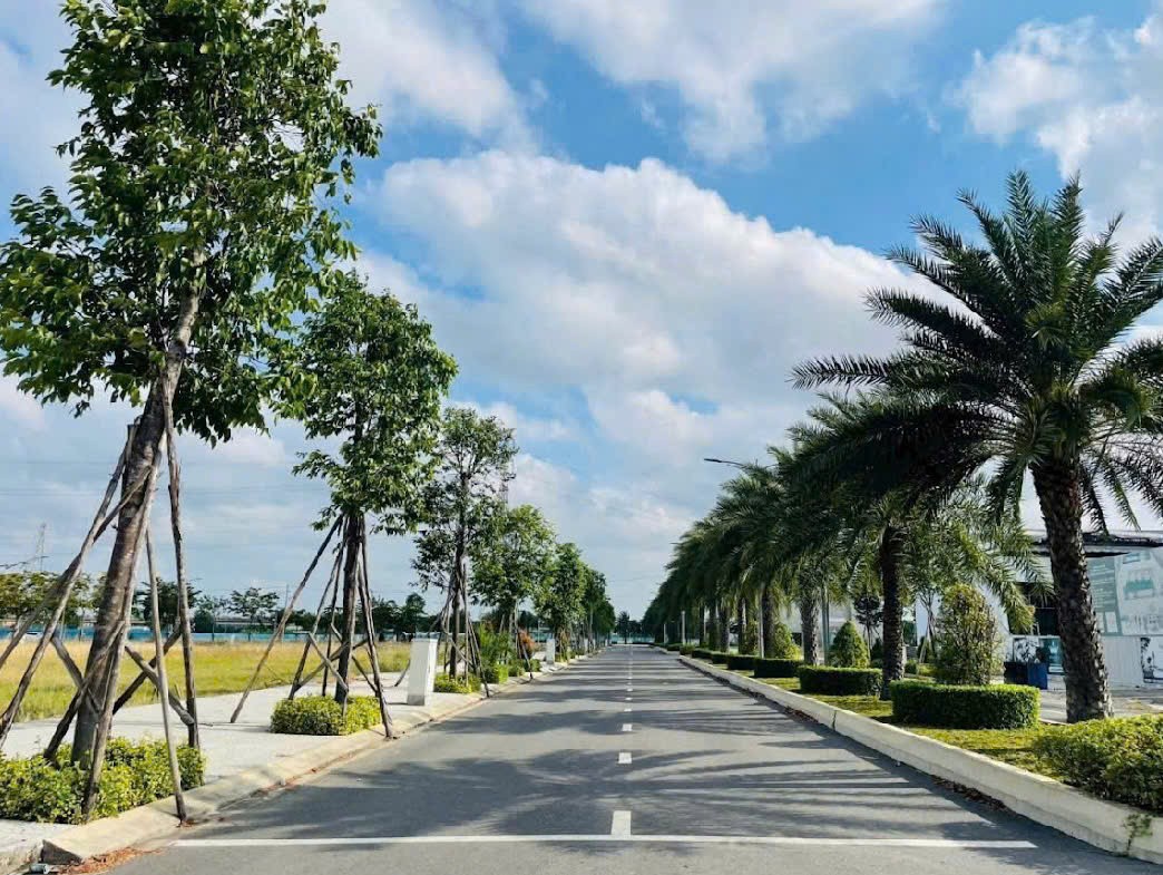 ĐẤT THỔ CƯ - MẶT TIỀN - Đường 1B, Xã Thanh Phú, Huyện Bến Lức, Long An - Ảnh 2