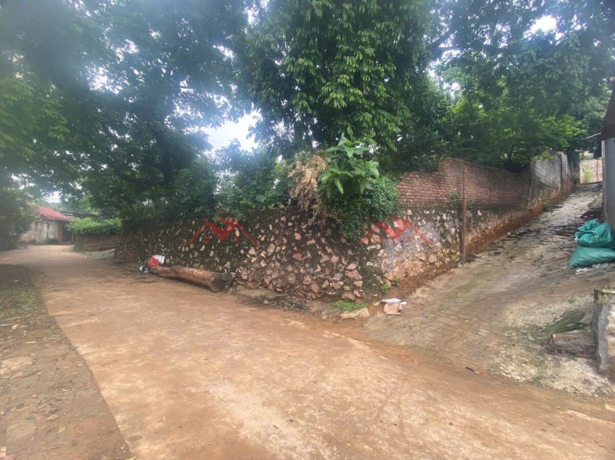 CHÍNH CHỦ CẦN BÁN LÔ ĐẤT 533M TẠI TIÊN PHƯƠNG-CHƯƠNG MỸ-HÀ NỘI - Ảnh 2