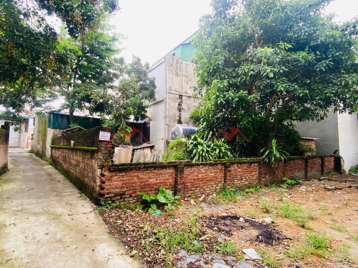 CHÍNH CHỦ CẦN BÁN LÔ ĐẤT 68,6M TẠI PHỤNG CHÂU-CHƯƠNG MỸ-HÀ NỘI - Ảnh 1