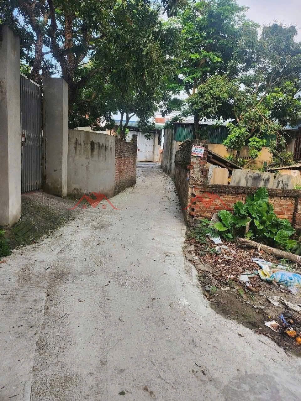 CHÍNH CHỦ CẦN BÁN LÔ ĐẤT 68,6M TẠI PHỤNG CHÂU-CHƯƠNG MỸ-HÀ NỘI - Ảnh 3