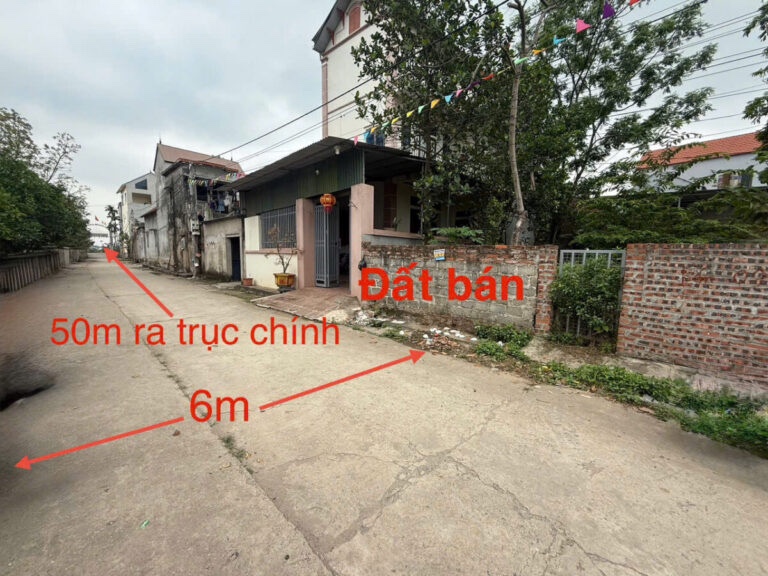 CHÍNH CHỦ CẦN BÁN LÔ ĐẤT 64M TẠI PHƯƠNG BẢN-PHỤNG CHÂU-CHƯƠNG MỸ-HÀ NỘI - Ảnh chính