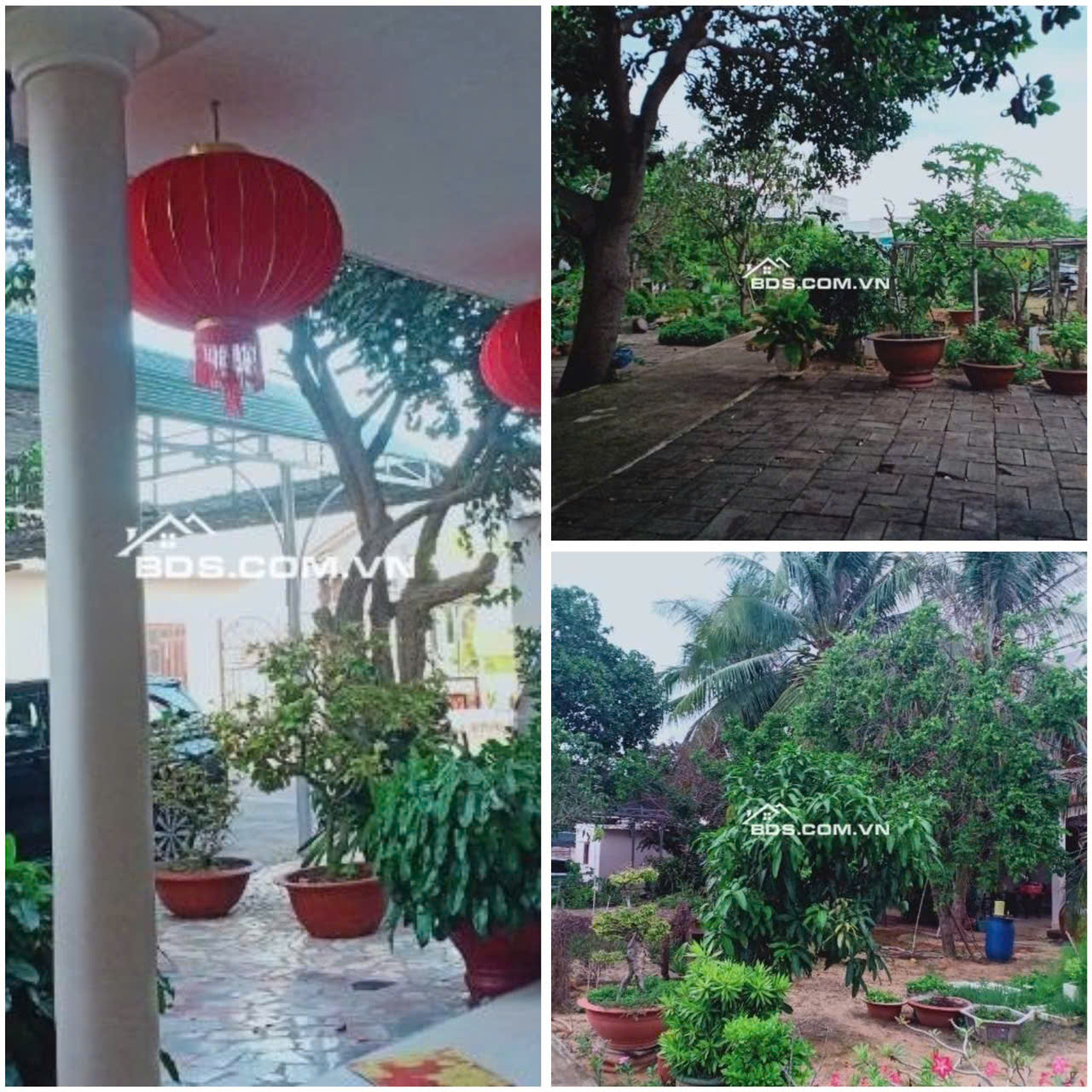 CẦN BÁN LÔ ĐẤT SIÊU VIP TẠI NGUYỄN THÔNG, PHÚ HÀI, TP. PHAN THIẾT, TỈNH BÌNH THUẬN - Ảnh 1