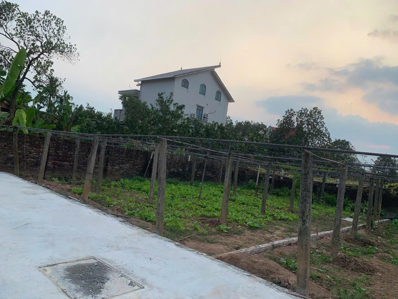 BÁN ĐẤT CÁCH MẶT ĐƯỜNG NHỰA 100M, VỈA HÈ 4M, KINH DOANH ĐỈNH, - Ảnh 1