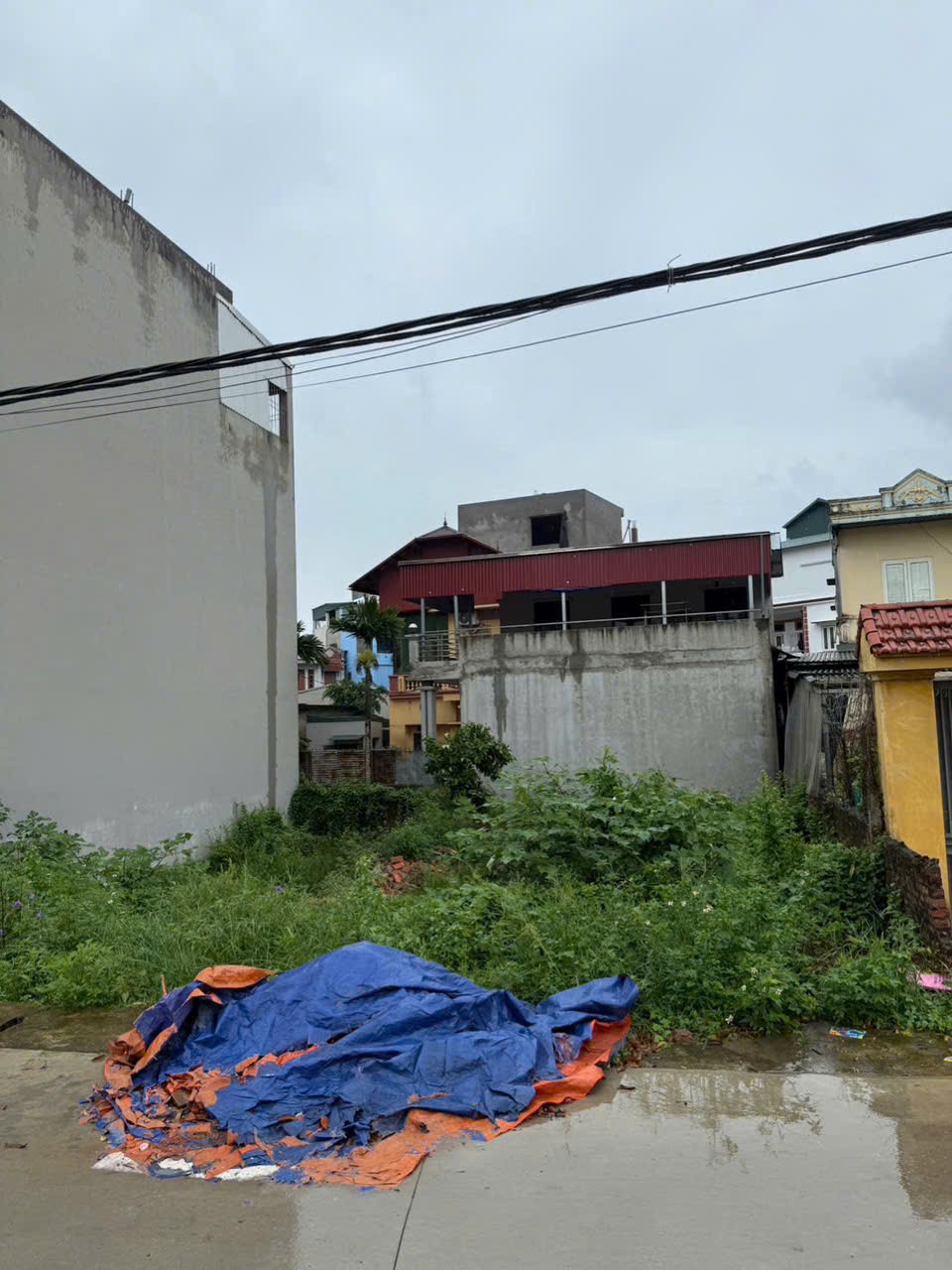 CẦN BÁN LÔ ĐẤT ĐẸP XÃ TỨ HIỆP, HUYỆN THANH TRÌ, HÀ NỘI. Diện tích : 65m2- Mặt tiền : 5.5m2 - Ảnh 1
