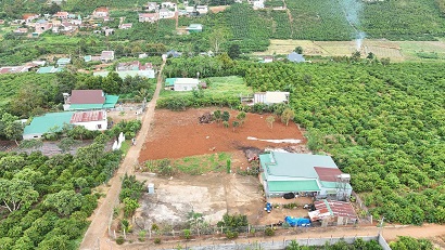 CHỐT GẤP – LÔ ĐẤT ĐẸP GIÁ RẺ TẠI DI LINH - Ảnh 1