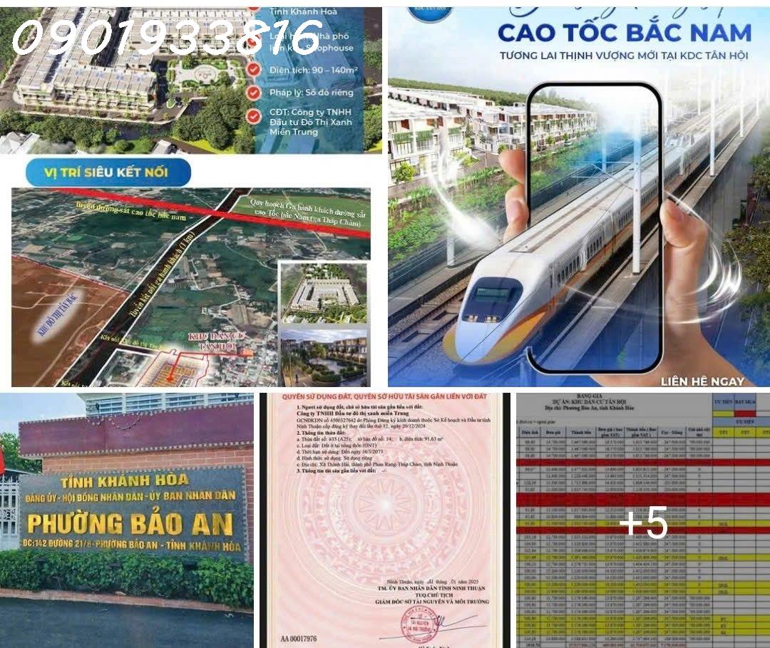 Đất Nền Tân Hội: Giải Mã Sức Hút – Vì Sao Tân Hội Là Miếng Đất Vàng Của Phan Rang Ngay Tại Thời - Ảnh 2