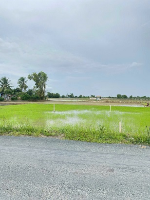 BÁN ĐẤT FULL THỔ CƯ – VỊ TRÍ ĐẸP TẠI MỸ LỆ, CẦN ĐƯỚC - Ảnh 2