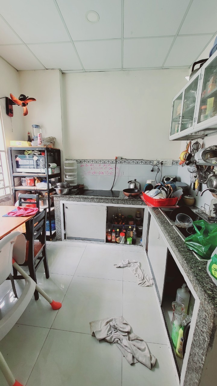 Bán nhà riêng Đường Tân Thắng, Quận Tân Phú, hẻm xe hơi 4.5m - Ảnh 2