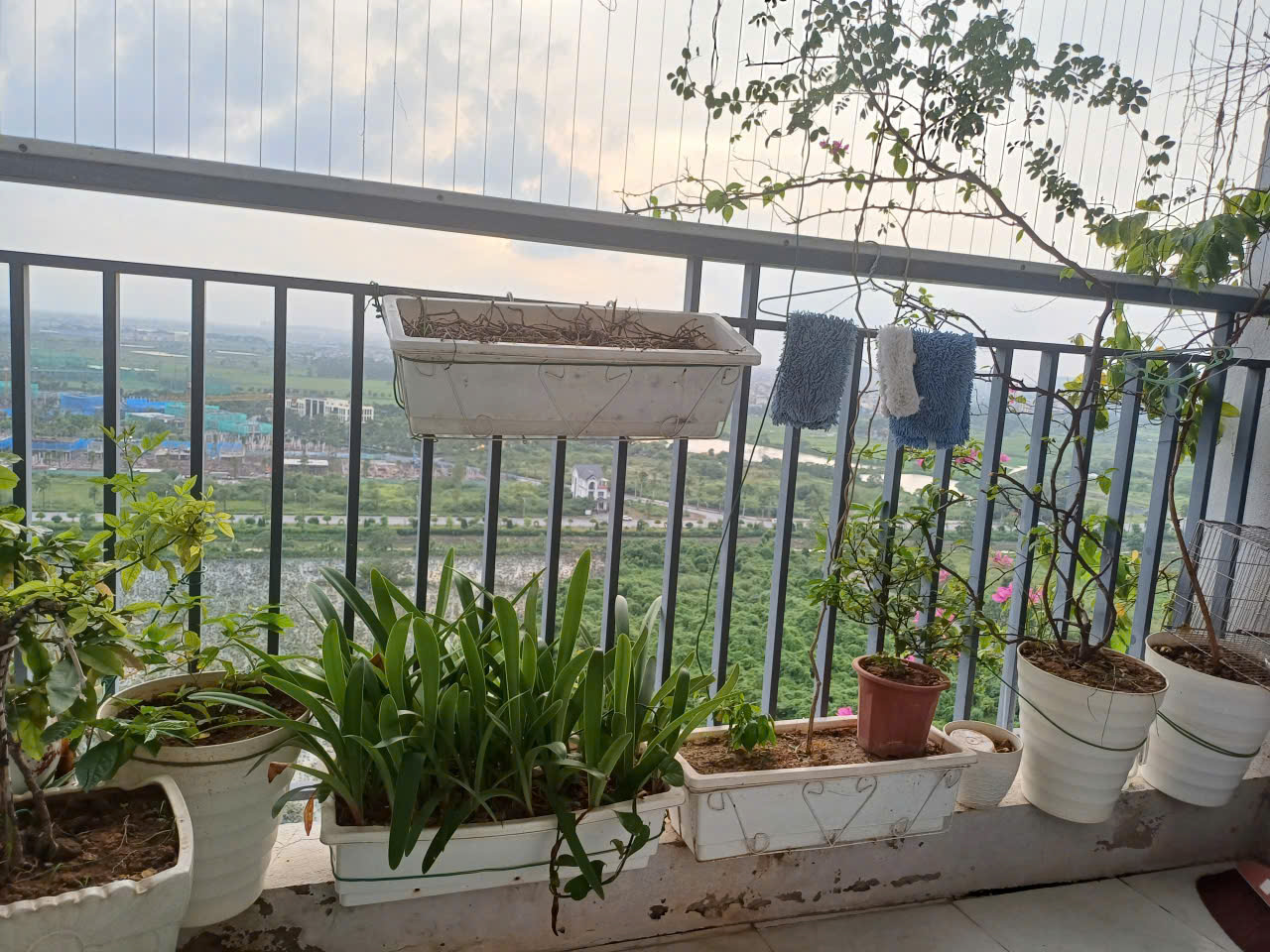 Cần bán căn hộ 72m² full đồ - khu 6 tòa mới, chung cư Thanh Hà - Ảnh 6