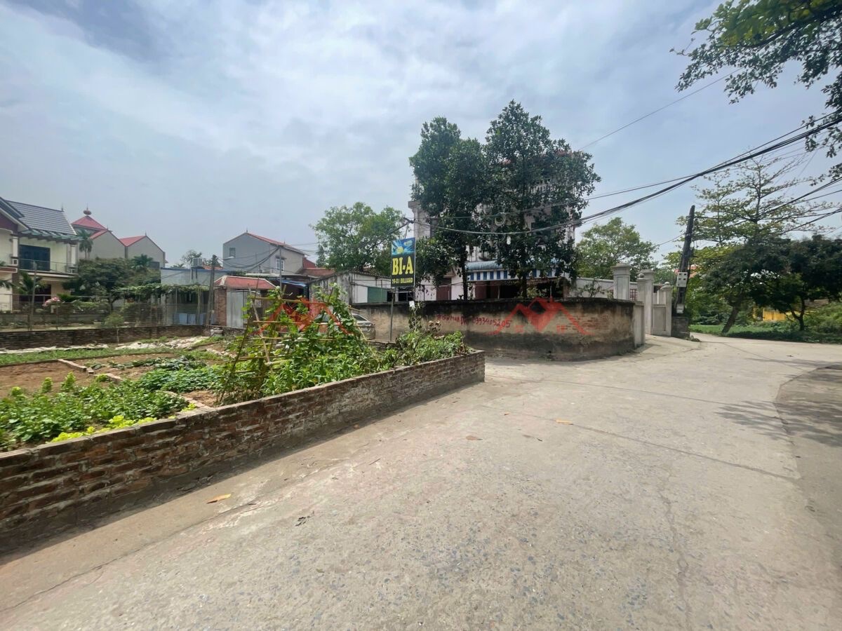 CHÍNH CHỦ BÁN LÔ GÓC ĐẸP 58,6M TẠI THỤY HƯƠNG-CHƯƠNG MỸ-HÀ NỘI - Ảnh 1