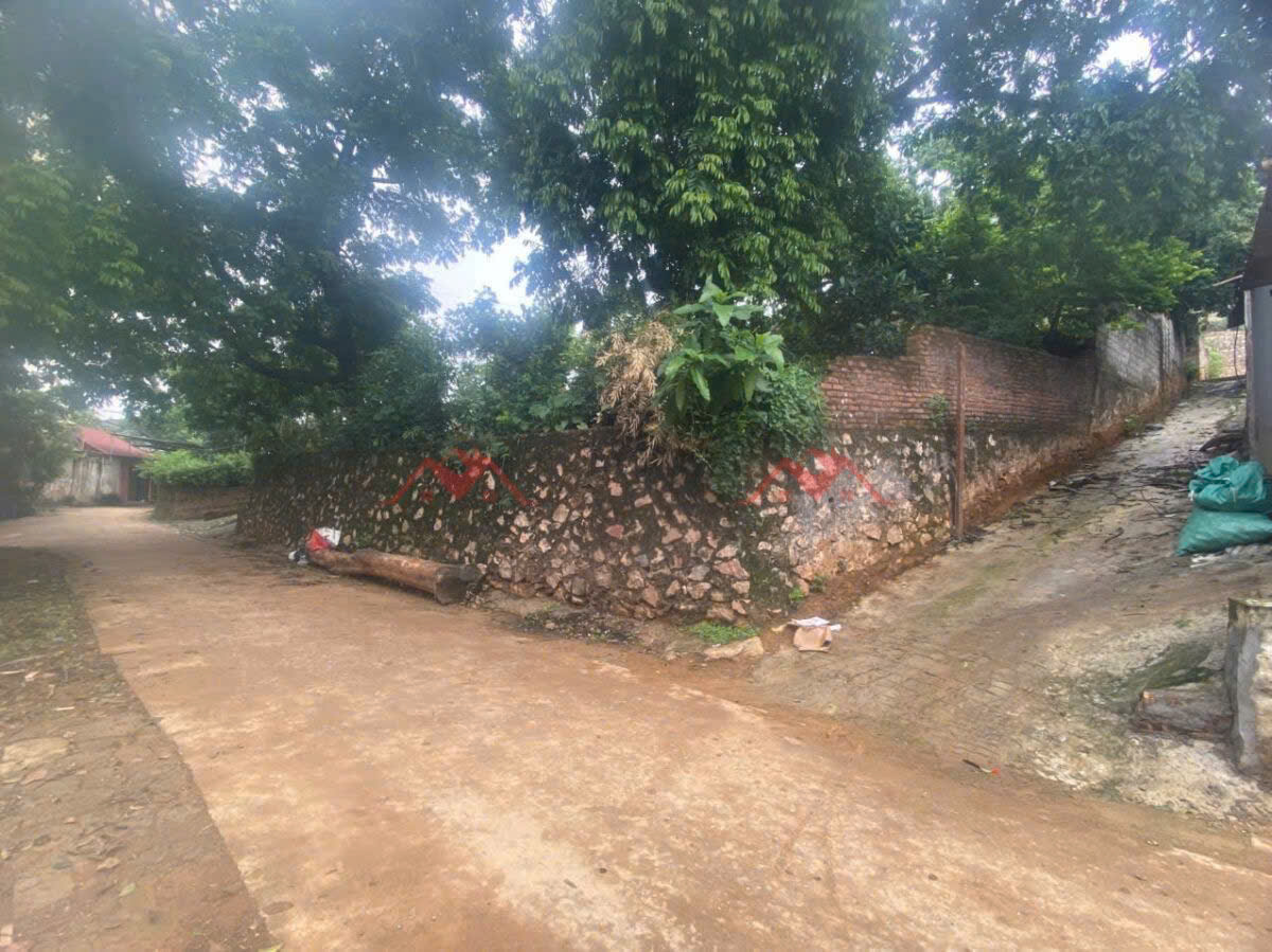 BÁN SIÊU PHẨM 533M TẠI TIÊN PHƯƠNG-CHƯƠNG MỸ-HÀ NỘI - Ảnh 2