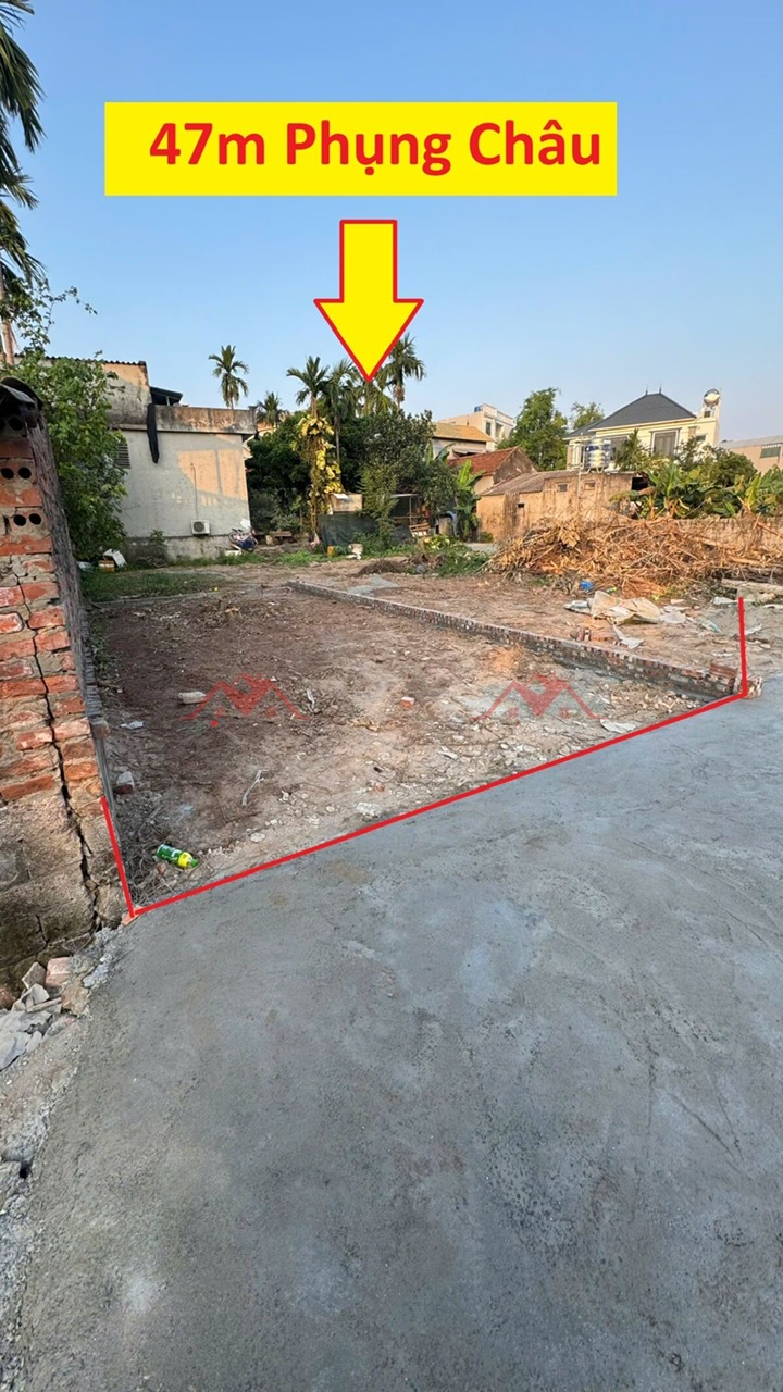 CHÍNH CHỦ CẦN BÁN LÔ ĐẤT 47M TẠI PHƯỢNG NGHĨA-PHỤNG CHÂU-CHƯƠNG MỸ-HÀ NỘI - Ảnh chính