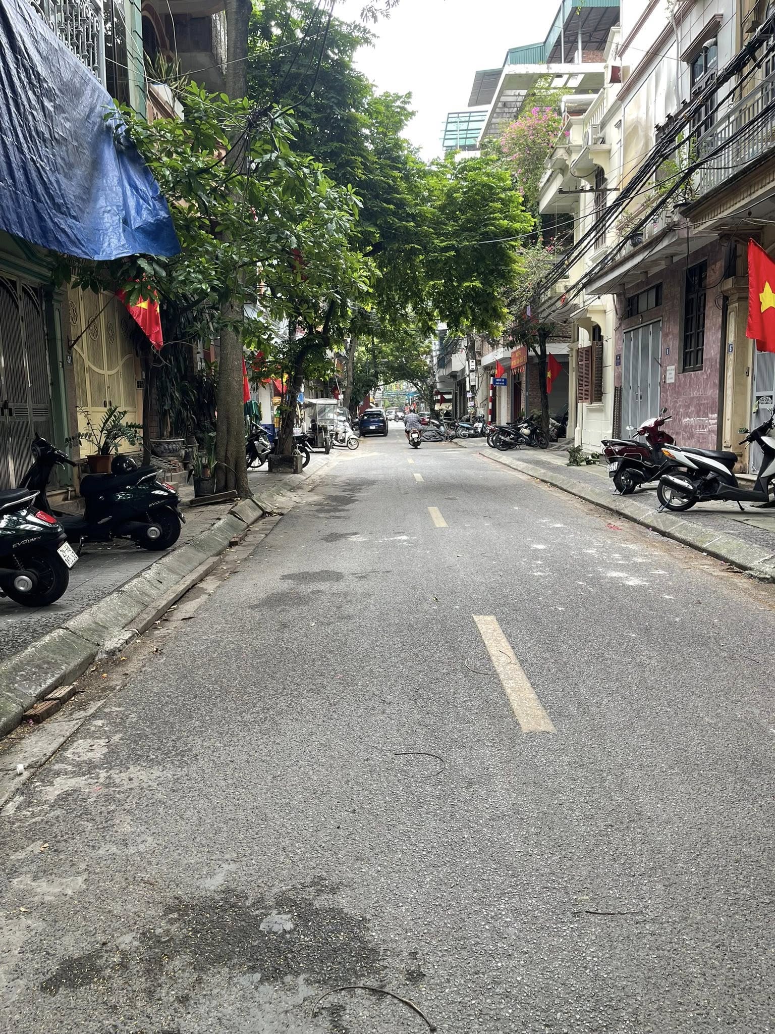 Nhà phân lô Ba Đình 60m² – MT 4.5m – 4 tầng – khu trung tâm, giá 19.8 tỷ - Ảnh chính