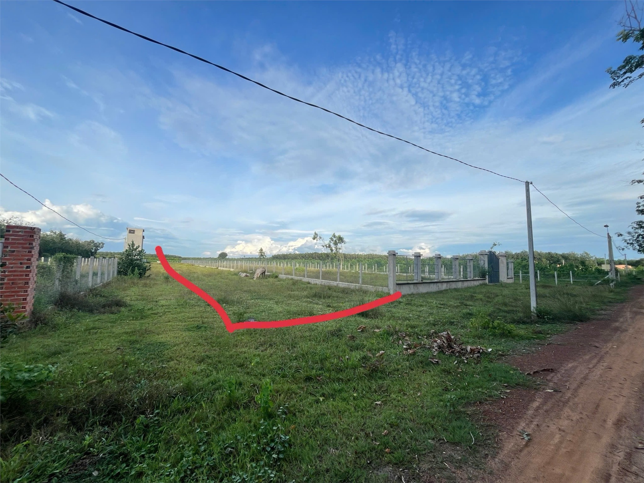 ĐẤT THẠNH PHÚ - THẠNH BÌNH -TÂY NINH - Đất Chính Chủ Giá Tốt 1008m2 Chỉ 405 Triệu - Ảnh 1