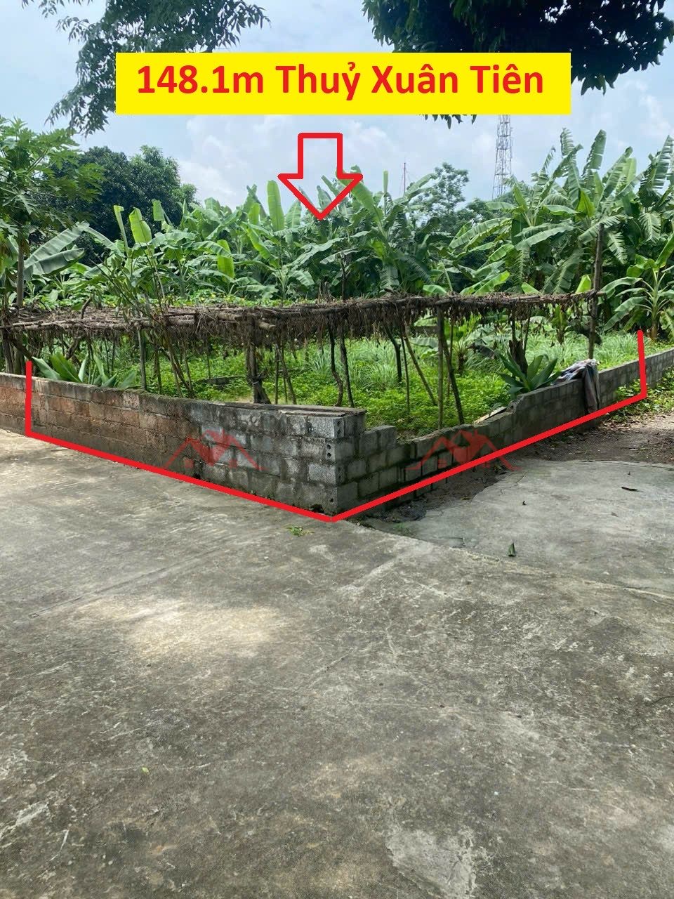 HÀNG FO BÁN LÔ GÓC 148,1M TẠI THỦY XUÂN TIÊN-CHƯƠNG MỸ-HÀ NỘI - Ảnh chính