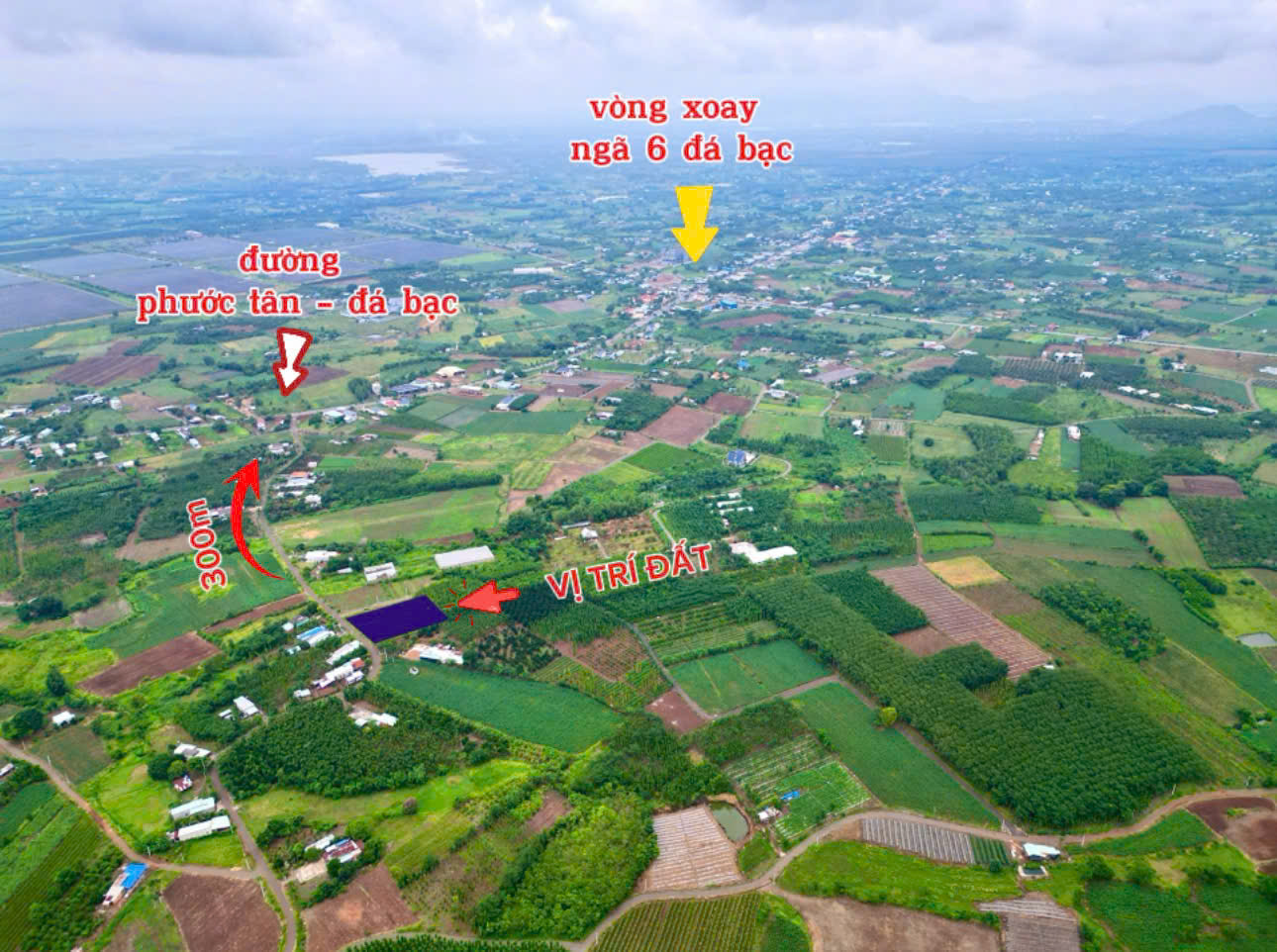: Lô góc 2 mặt tiền đường nhựa tại đá bạc châu đức . Ngang 9,14 tổng dt 217m có 80 thổ cư - Ảnh 2
