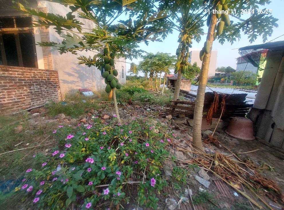 Bán đất Bắc Hồng, Đông Anh (Phúc Thịnh) 100m2, mt6m. 5.85 tỷ. Ô tô nhỏ. - Ảnh 4