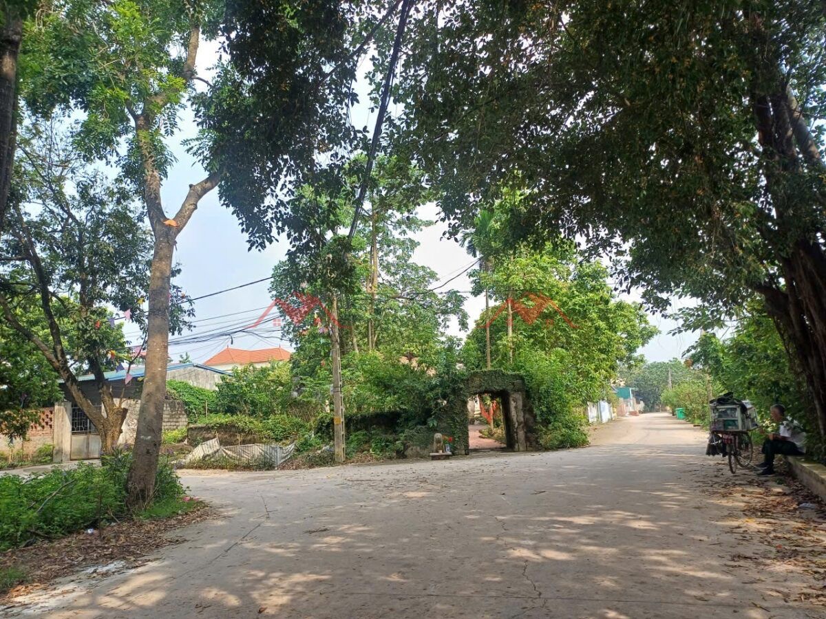 LÔ ĐẤT ĐẸP NHẤT NHÌ 130,4M TẠI PHỤNG CHÂU-CHƯƠNG MỸ-HÀ NỘI - Ảnh 3