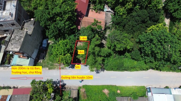 TRỤC CHÍNH KINH DOANH 54M TẠI THƯỢNG VỰC-CHƯƠNG MỸ-HÀ NỘI - Ảnh chính