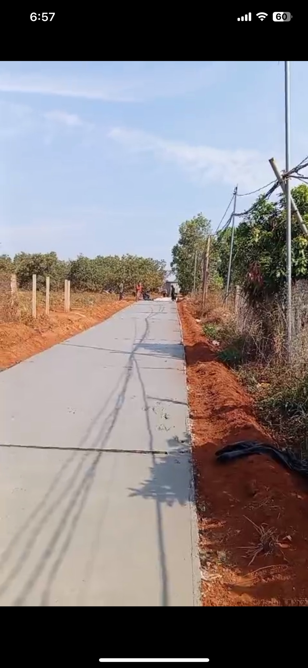 cần bán đất mặt tiền đường bê tông quảng tín - Ảnh chính
