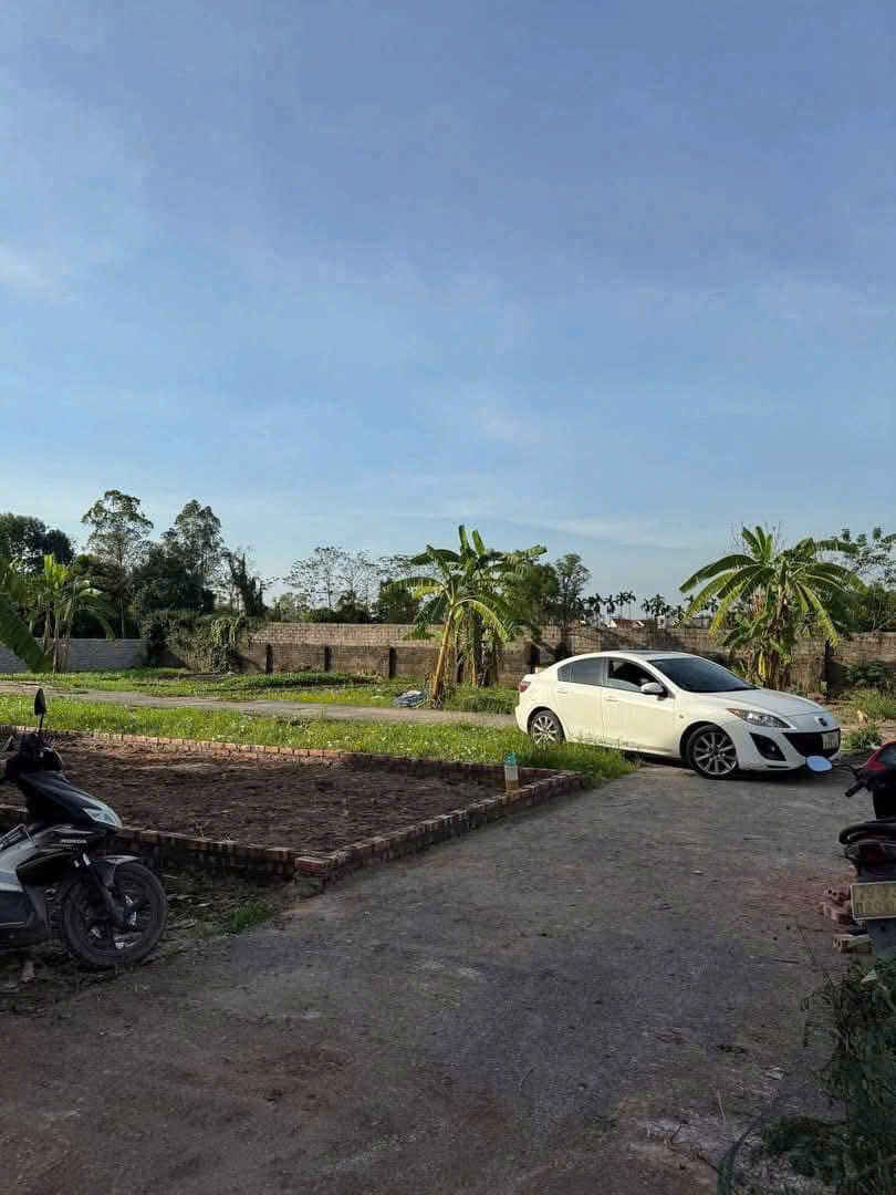 CHÍNH CHỦ GỬI BÁN 52.8M² ĐẤT ĐẸP – THỌ LỘC, PHÚC THỌ, HÀ NỘI - Ảnh 3